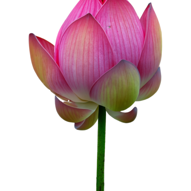 test 6